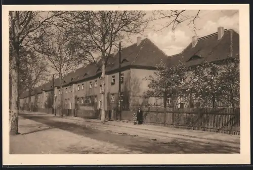 AK Dresden-Laubegast, Blick in die Steirische Strasse