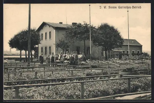 AK Dresden-Laubegast, J. W. Siems Gartenbau-Betrieb
