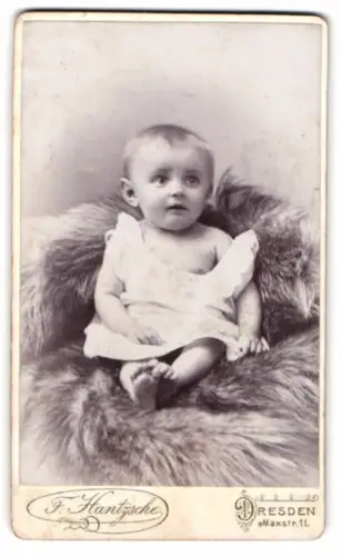 Fotografie F. Hantzsche, Dresden, Maxstrasse 11, Porträt eines kleinen Kindes