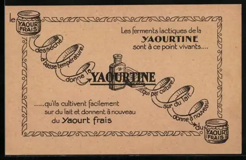 AK Les ferments lactiques de la Yaourtine sont à ce point vivants