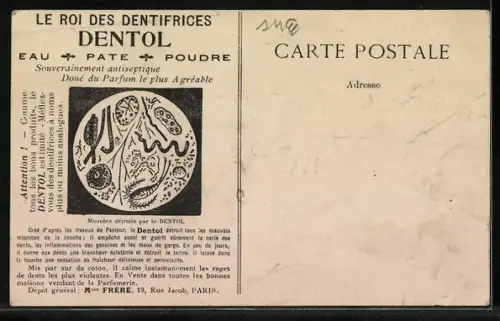 AK Paris, Fontaine Saint Michel, Dentol, Roi des dentifrices