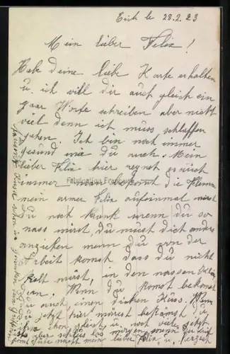 Foto-AK Leo, Paris Nr. 314: Junge Frau mit Blumenkorb neben Pferd
