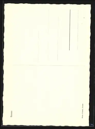 AK Sursee, Strassenpartie mit Geschäften