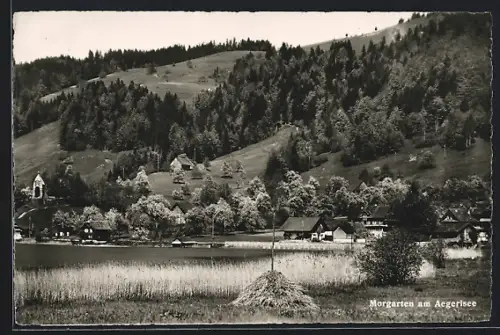 AK Morgarten am Aegerisee, Ortspartie mit Bäumen