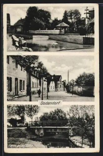 AK Dodendorf, Dorfstrasse, Partie am Teich, Partie an der Sülze