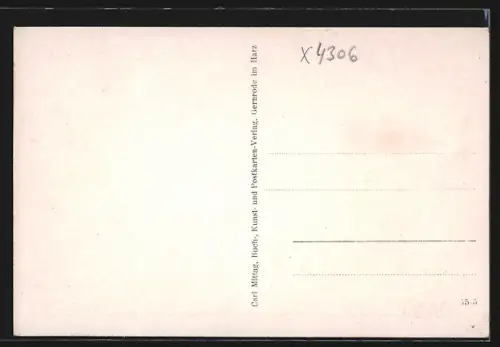 AK Harzgerode / Harz, Hotel Haus Irene