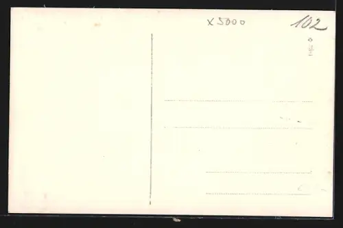 AK Erfurt, Fischmarkt mit Café Roland