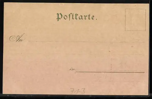 Lithographie Schaffhausen, Ansicht vom Rheinfall