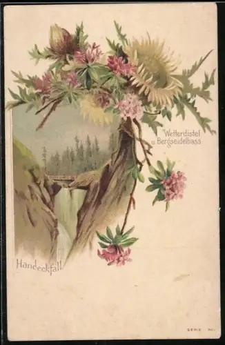 AK Handeckfall, Wetterdistel und Bergseidelbass