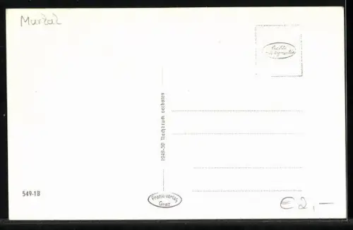 AK Zeltweg, Ortsansicht mit Gebirgspanorama
