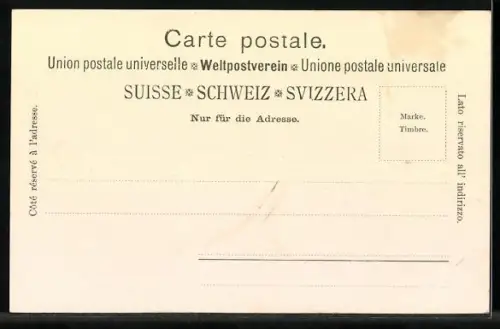 AK Locarno, Panorama mit Booten