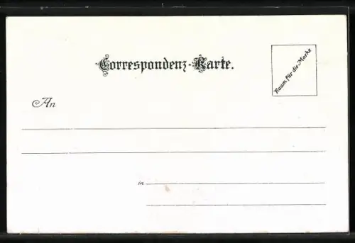 Lithographie Innsbruck, Ansicht der Stadt