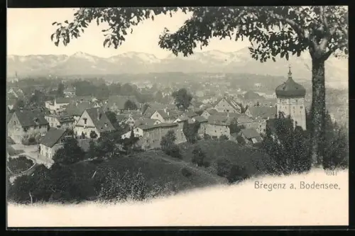 AK Bregenz a. Bodensee, Teilansicht