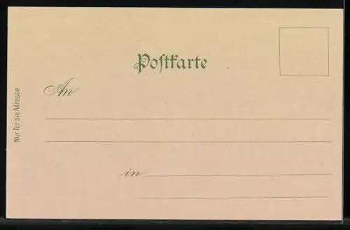 AK Lienz, Lienz mit Spitzkofel (Pusterthal.), Gesamtansicht