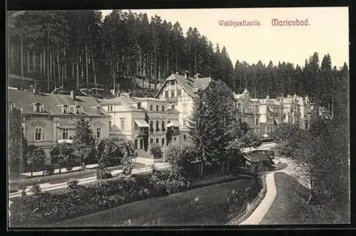 AK Marienbad, Teich gegen Waldquellzeile