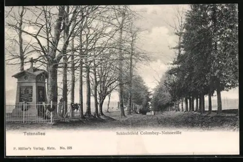 AK Noisseville, Schlachtfeld Colombey-Noisseville, Totenallee, Reichseinigungskriege