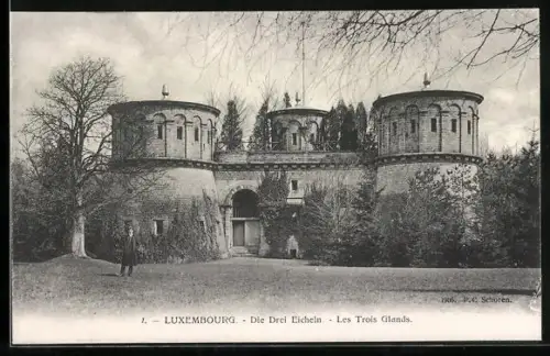 AK Luxembourg, Die Drei Eicheln