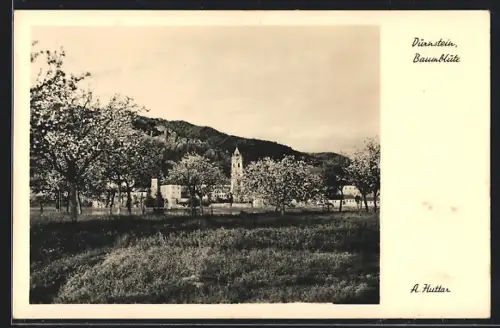 AK Dürnstein, Ortsansicht mit Baumblüte