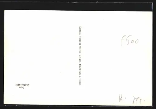 AK Villach, Magdalenensee mit Gasthof