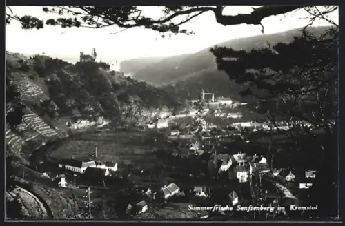 AK Senftenberg im Kremstal, Gesamtansicht