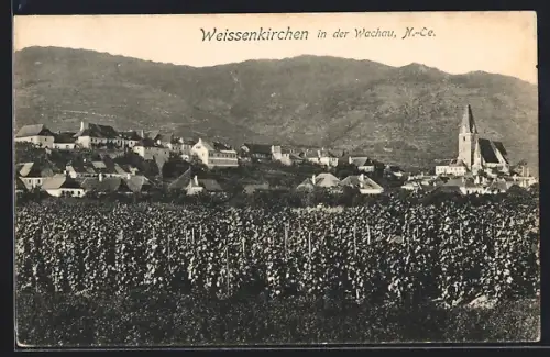 AK Weissenkirchen in der Wachau /N.-Oe., Ortsansicht mit Kirche