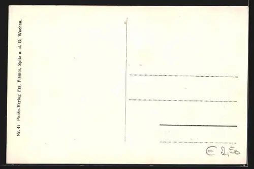 AK Aggsbach a. d. Donau, Markt und Dorfansicht