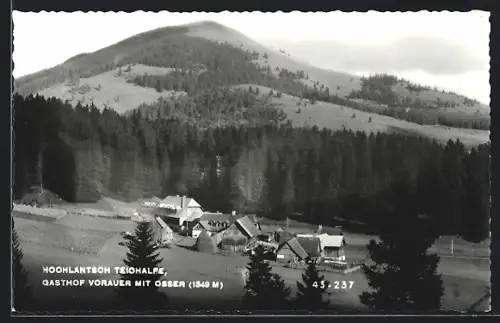 AK Fladnitz a. d. T., Alpengasthof Vorauer auf der Teichalpe, Blick zum Osser