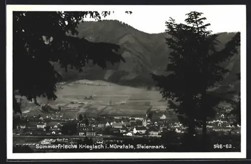 AK Krieglach, Ortsansicht im Mürztale