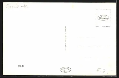 AK Kapfenberg /Stmk., Ortsansicht mt Böhlerwerke und Rennfeld