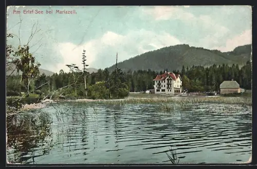AK Mariazell, Ufer am Erlaf-See