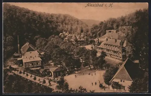 AK Alexisbad i. H., Ortsansicht aus der Vogelschau