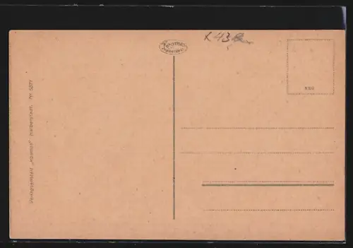 AK Alexisbad i. H., Ortsansicht aus der Vogelschau