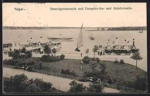 AK Berlin-Tegel, Strandpromenade und Dampfer-An-und Abfahrtstelle