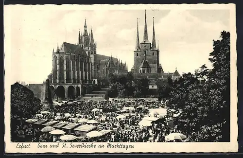 AK Erfurt, Dom und St. Severikirche an Markttagen