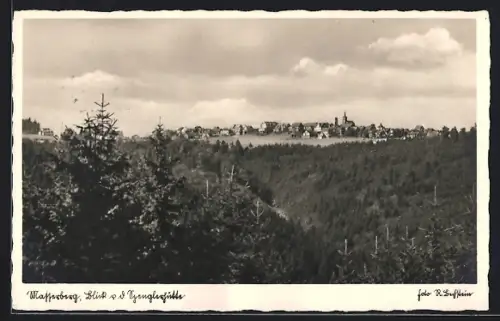 AK Masserberg /Th., Ortspanorama von der Spenglerhütte aus