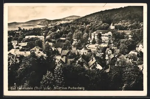 AK Bad Liebenstein /Thür. Wald, Totalansicht vom Aschenberg aus