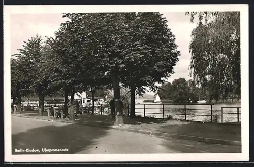 AK Berlin-Kladow, Partie an der Uferpromenade