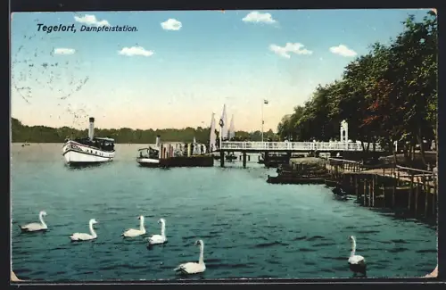 AK Berlin-Tegelort, Dampferstation vom Wasser mit Schwänen