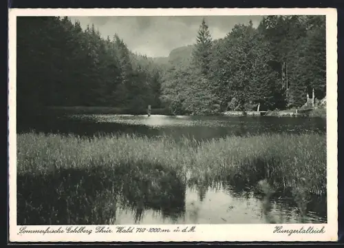 AK Gehlberg /Thür. Wald, Blick auf den Hungertalteich