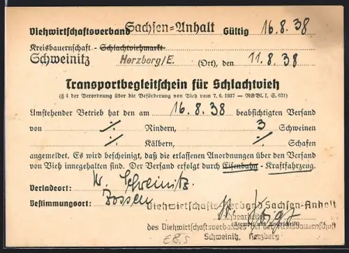 AK Schweinitz / Elster, Transportbegleitschein für Schlachtvieh, Viehwirtschaftsverband Sachen-Anhalt