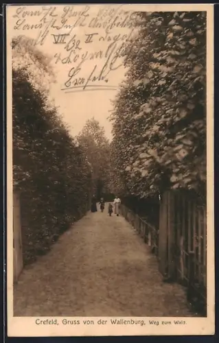 AK Crefeld, Wallenburg, Weg zum Wald