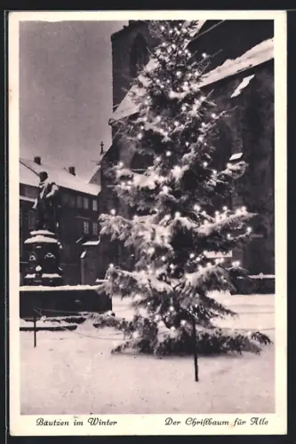 AK Bautzen, Der Christbaum für Alle