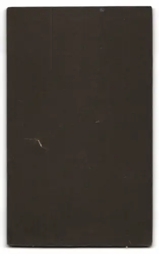 Fotografie Curt Weber, Sebnitz, Langestr. 308, Mädchen mit Schultüte und Schulranzen