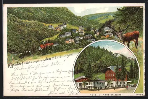 Lithographie Kipsdorf, Hotel und Pension Halali, Blick über den Ort, Hirsch