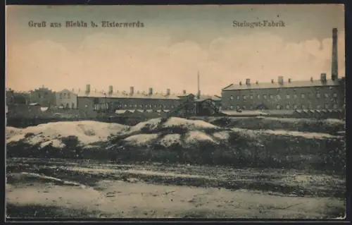 AK Biehla bei Elsterwerda, Steingut-Fabrik, Totalansicht