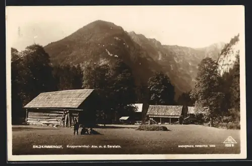 AK Koppenwinkel-Alm, Salzkammergut, Ortspartie mit dem Sarstein