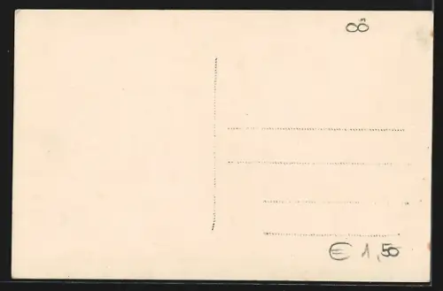 AK Koppenwinkel-Alm, Salzkammergut, Ortspartie mit dem Sarstein