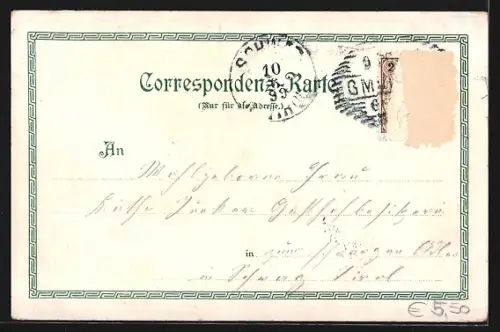 AK Gmunden, Teilansicht vom Weinberg aus