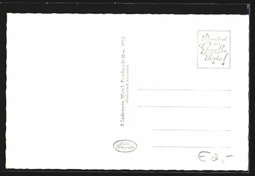 AK Braunau am Inn, Innbrücke mit Altstadt