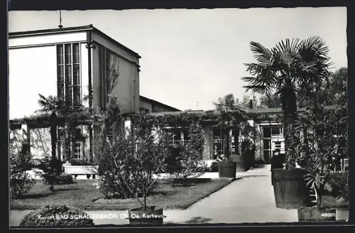 AK Bad Schallerbach /Ob. Oe., Weg zum Kurhaus